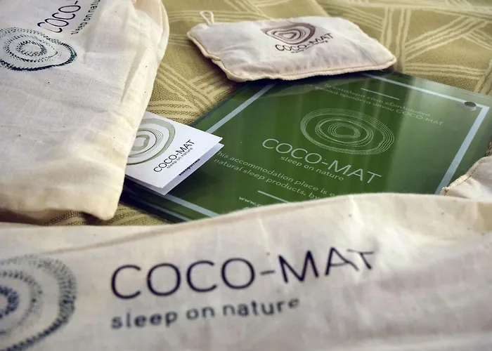 Anemoessa Elegant 4*